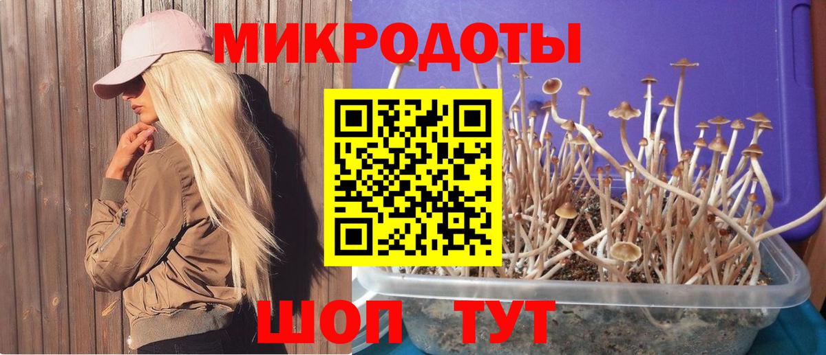 закладка  Галлюциногенные грибы прущие грибы  Россошь  Вход с VPN  Галлюциногенные грибы Psilocybine cubensis 