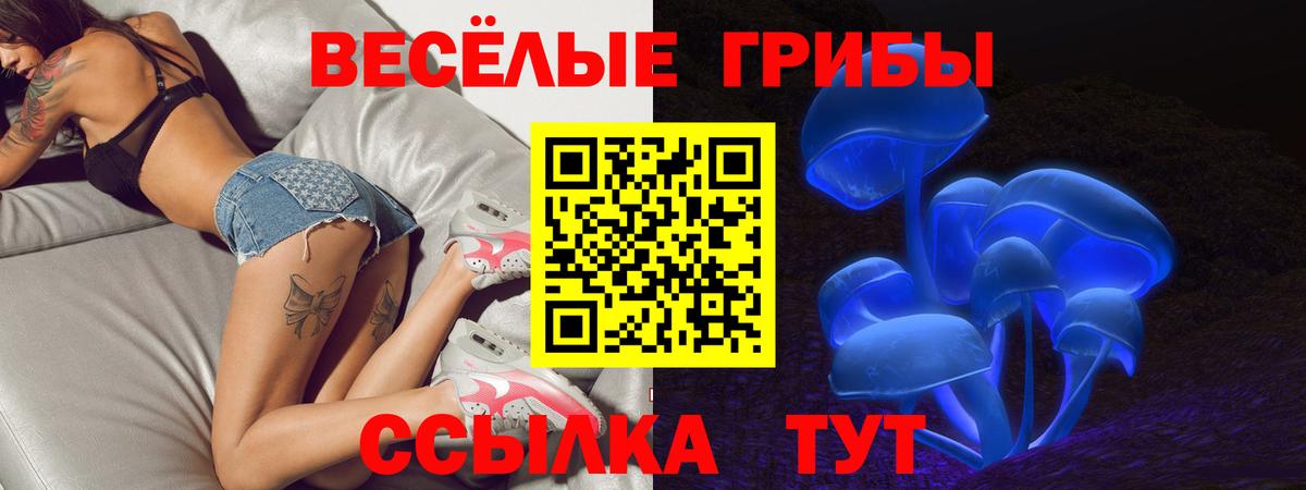 Псилоцибиновые грибы мицелий Россошь